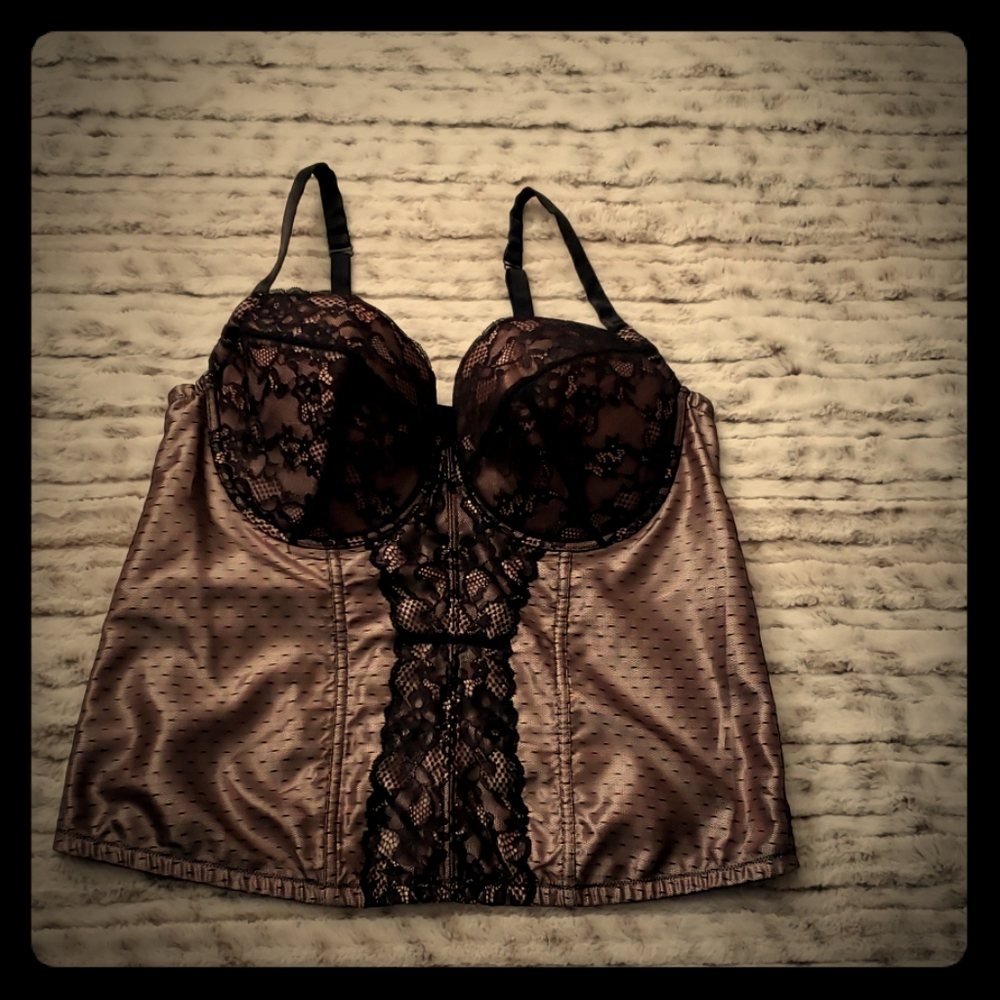 Plus Size Torrid 2 Sheer Corset Top.